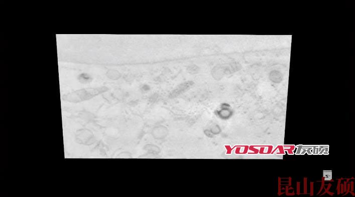 FIB铁岭扫描电镜